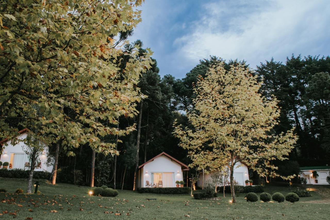 Roots Resort Монті-Верді Екстер'єр фото